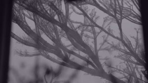 ПОЛНЫЙ ТРЭШ И АВАНГАРД | БОЛЬШОЙ АЙСБЕРГ МУЗЫКАЛЬНЫХ ЖАНРОВ | ЧАСТЬ 2