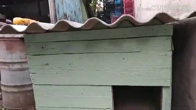 Будка для собаки своими руками из подручных материалов ч. 3 финал смотреть онлайн