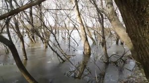 Половодье на реке Суре. 14 марта, лёд ещё стоит. Ждём ледохода