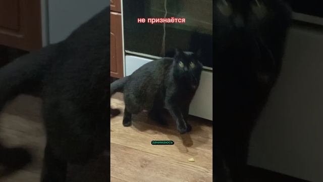 Занимаюсь хренью!😂😂😂