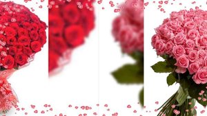 ТЫ... МОЯ НЕЗЕМНАЯ...