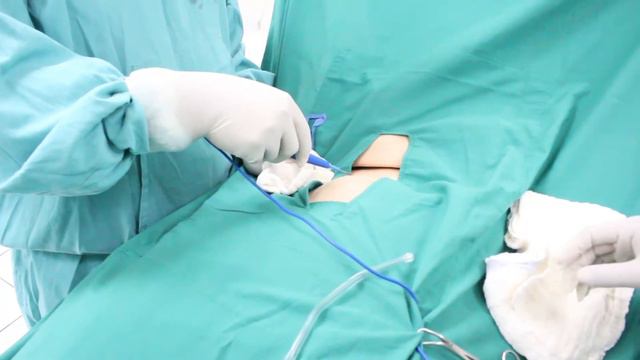 Doctorado en Medicina - ¿Por qué estudiar en la USAM? смотреть онлайн