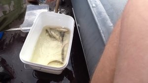 Ловля с лодки на Зимнюю Удочку\Окунь на Удочку \Судак на Дорожку\Рыбалка на ЖЕРЛИЦЫ из бутылок\