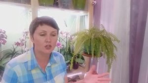 УДОБРЯТЬ ли ОРХИДЕИ зимой во время цветения?