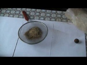 ПРОПОЛИС КАК ИЗМЕЛЬЧИТЬ ПРОПОЛИС?