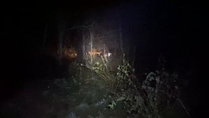 Охота на Алтайском крае на медведя и лося.