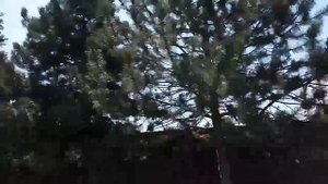 Добро пожаловать в ГРОЗНЫЙ, Первомайская,Шерипова, Минутка,П.Мусорова