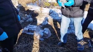 Ирина Волк: В Пермском крае оперативники пресекли деятельность межрегиональной  группы наркодилеров