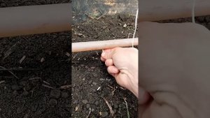 Капельный полив для огурцов своими руками | Капельный полив в теплицу своими руками