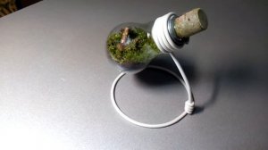 "Флорариум"