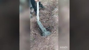 Теплица из арматуры своими руками