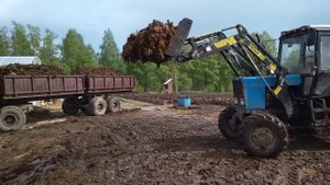 Чистим логово