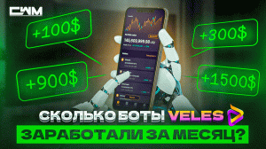 Сколько боты Veles заработали за месяц