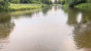 Рыбалка на кастинговую сеть.Клязьма