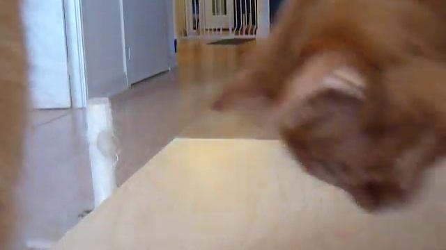 Snack time 1 смотреть онлайн