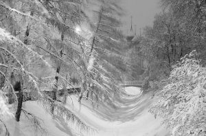 Красивая зима, пурга и прекрасная музыка