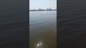 Благовещенск рыбалка