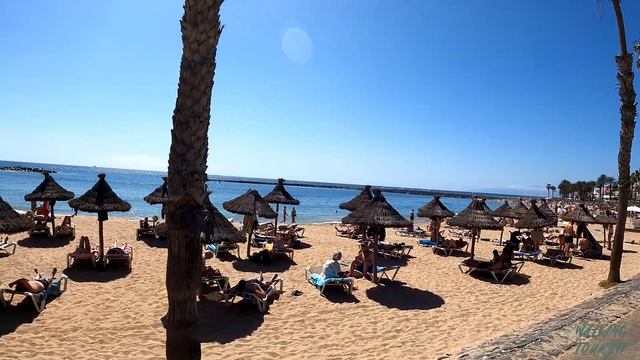 TENERIFE - PLAYA DE LAS AMÉRICAS | How does it Currently look? ☀️ WalkingTour ● 24°C ● March 2023 смотреть онлайн