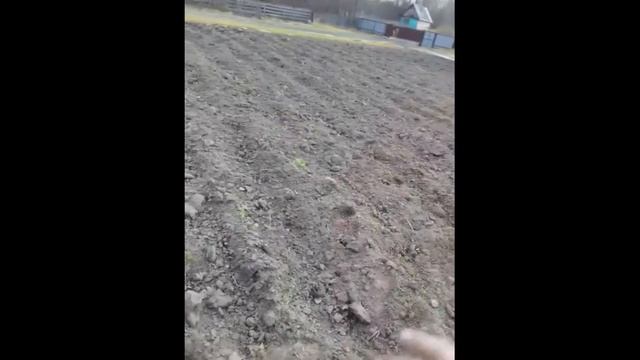 Эффективное удобрение для ОГОРОДА, грядок ) Бесплатно) смотреть онлайн