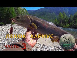 ХАРИУС - ЛЕНОК Северный Байкал рыбалка часть 3
