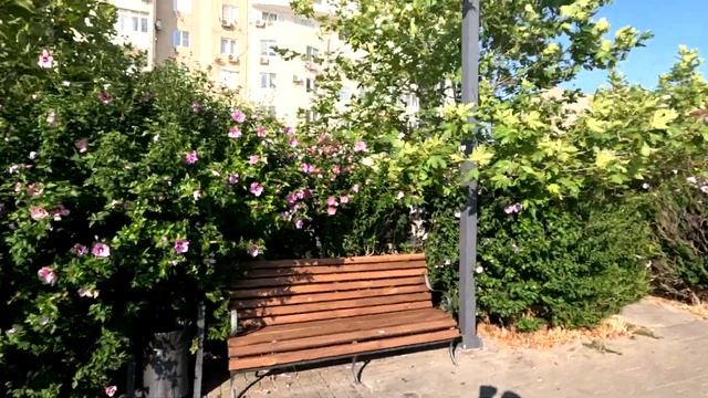 АНАПА ИЛИ ВИТЯЗЕВО КУДА ЛУЧШЕ ПОЕХАТЬ? ОБЗОР ПЛЯЖЕЙ. ПРОГУЛКА ПО ВЫСОКОМУ БЕРЕГУ. ПЛЯЖ 300 СТУПЕНЕЙ смотреть онлайн