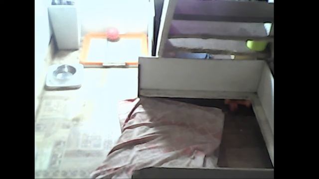 Щенки голубого французского бульдога смотреть онлайн