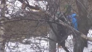 Узнай, как подростку оторвало палец петардой!