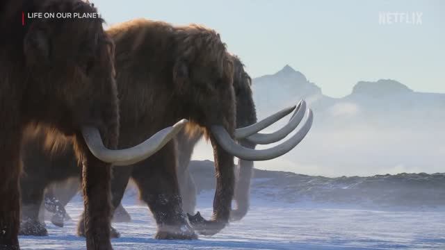 “Жизнь на нашей планете” (2023, 1-й сезон) – Русский тизер-трейлер (Субтитры) смотреть онлайн