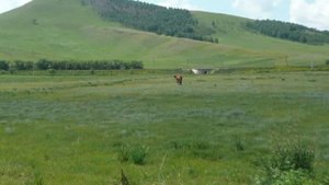 Копьёво Орджоникидзевский район Хакасия природа окрестность