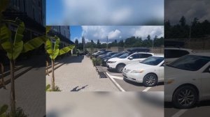 Hotel Rita House, Абхазия, Пицунда, прогулка по территории июль 2022 г.