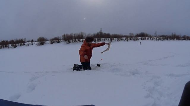 Новости с реки Лозьва. Рыбалка на пятерочку?????
