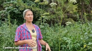 ДУДНИК И ДЯГИЛЬ ДВА БРАТА у каждого ИМЯ СВОЕ ЧЕМ ПОЛЕЗЕН КАК ОТЛИЧИТЬ @natureMarusya
