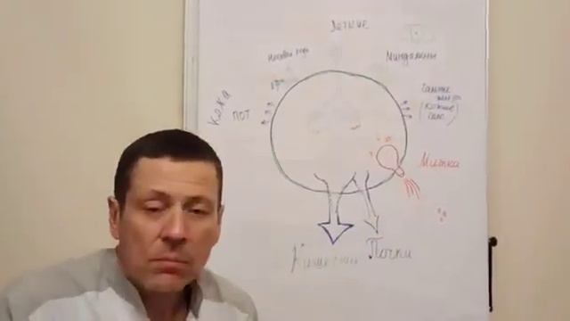 Выводящие каналы. Почему мы болеем