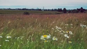 Господи помилуй - мелодия на пианино