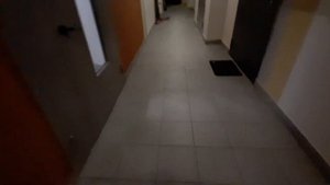 4 лифта на 22 этажа! Лифты STEIMBERG 2019 года выпуска.