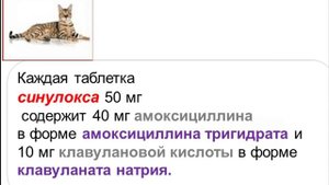 синулокс