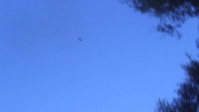 Охота на утку. Лучшие моменты. Шатура. Московская обл. смотреть онлайн