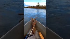 Перекат р. Уфа. воды 20-30см. болотоход с гибким валом 20лс. и 3 человека . лодка плоскодонка