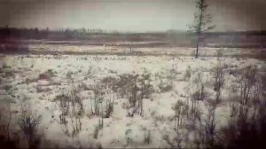 КАЛИНОВ МОСТ - УМОЛЧАЛИ