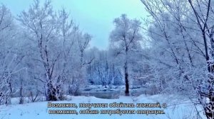 Запор у собаки