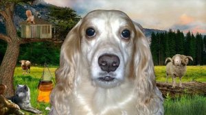 Древесные загадки