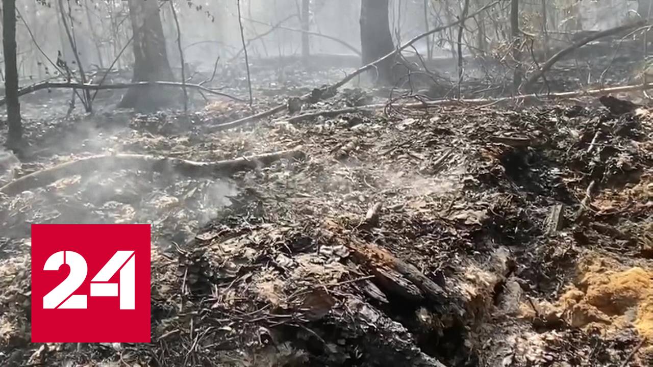 В Курганской области бушуют лесные пожары - Россия 24 