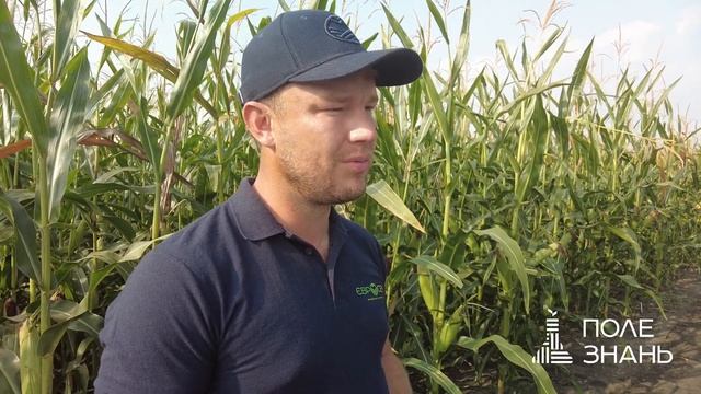 Пластичність гібридів – Олександр Корецький керівник проєкту Поле Знань смотреть онлайн