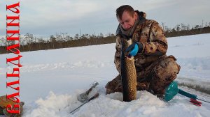 РЫБАЦКИЙ ПРОМЫСЕЛ | ТАКОЙ КЛЕВ НАМ ТОЛЬКО СНИТСЯ