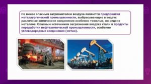 Биология. 7 класс. Негативное влияние деятельности человека на экосистему /15.09.2020/