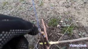 СУПЕР ВАРИАНТ ДЛЯ ЛОВУШКИ НА ФАЗАНА