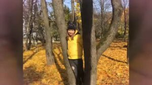 Слайд-шоу"Золотая осень"