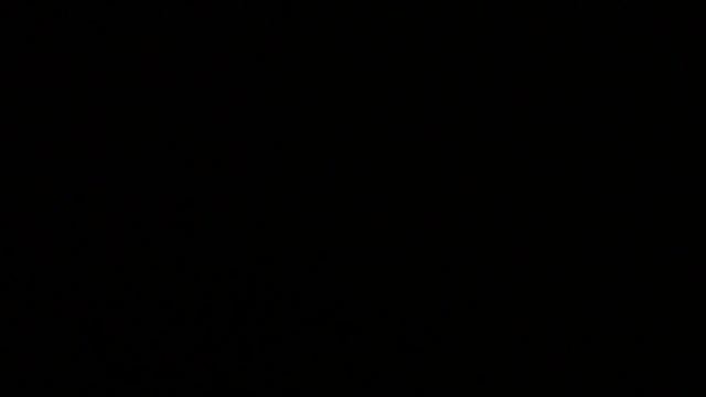 F Scale 2 Octives смотреть онлайн