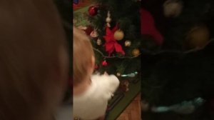 Наша ёлка высока...