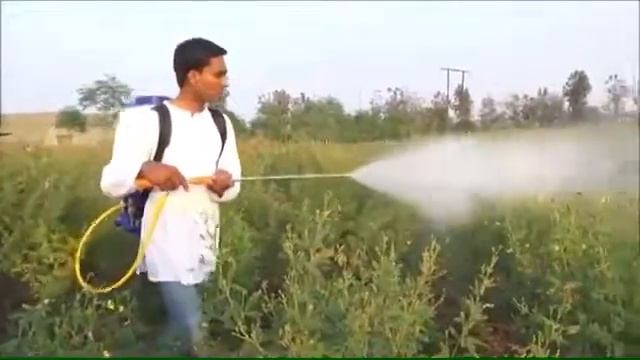Gx35 4 stroke Knapsack power sprayer